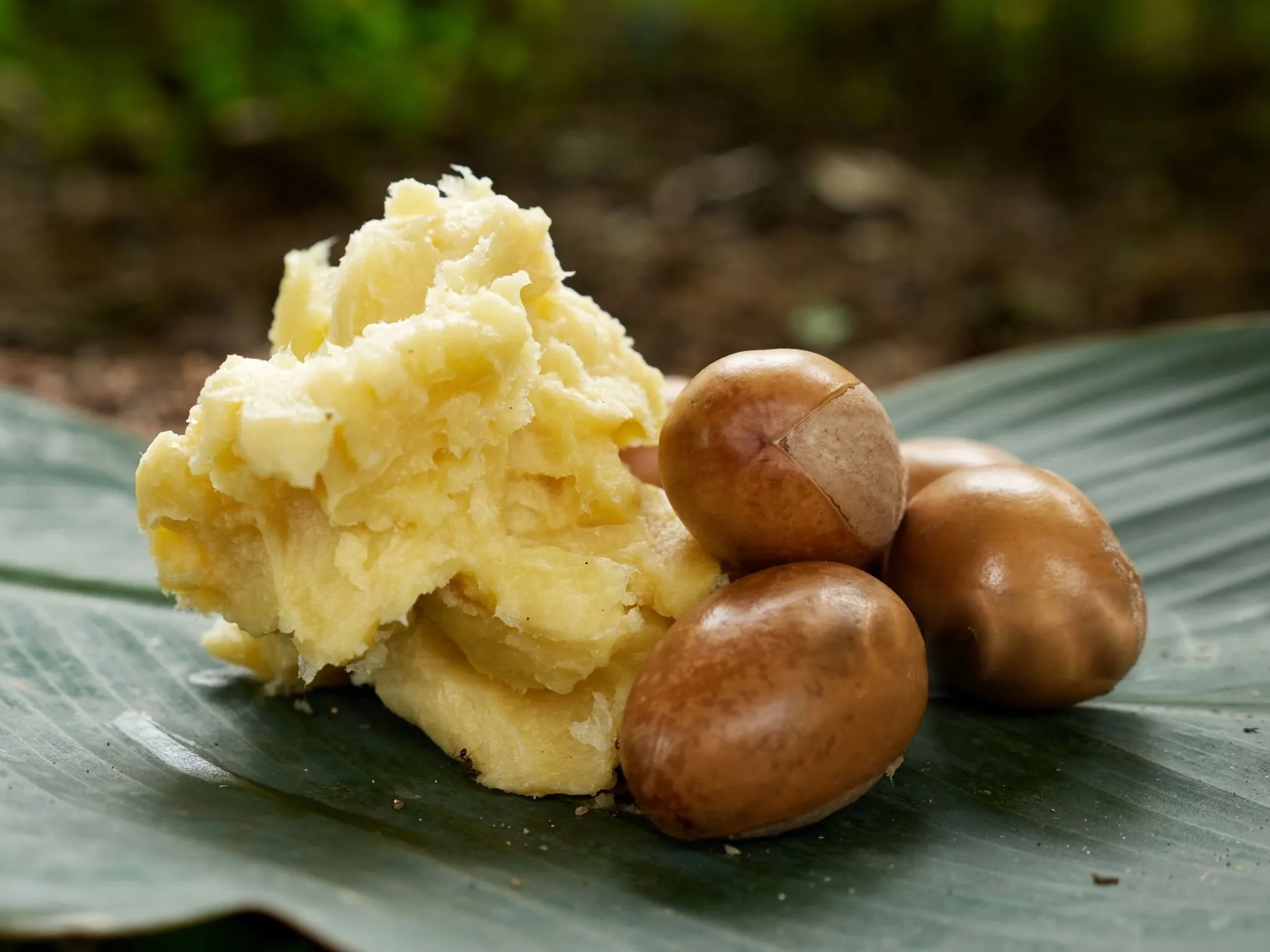 Grade A - Unrefined Raw Shea Butter (Cosmetic & Food Grade)
